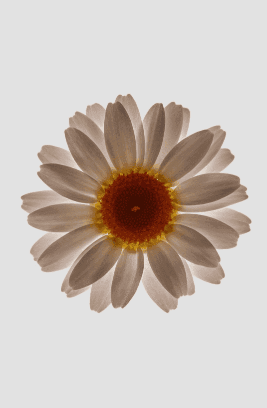 IMG (3).png