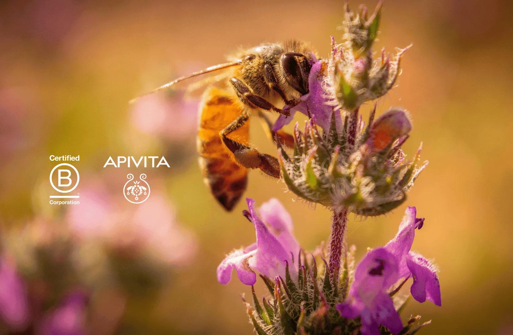 Apivita-B-Corp.webp