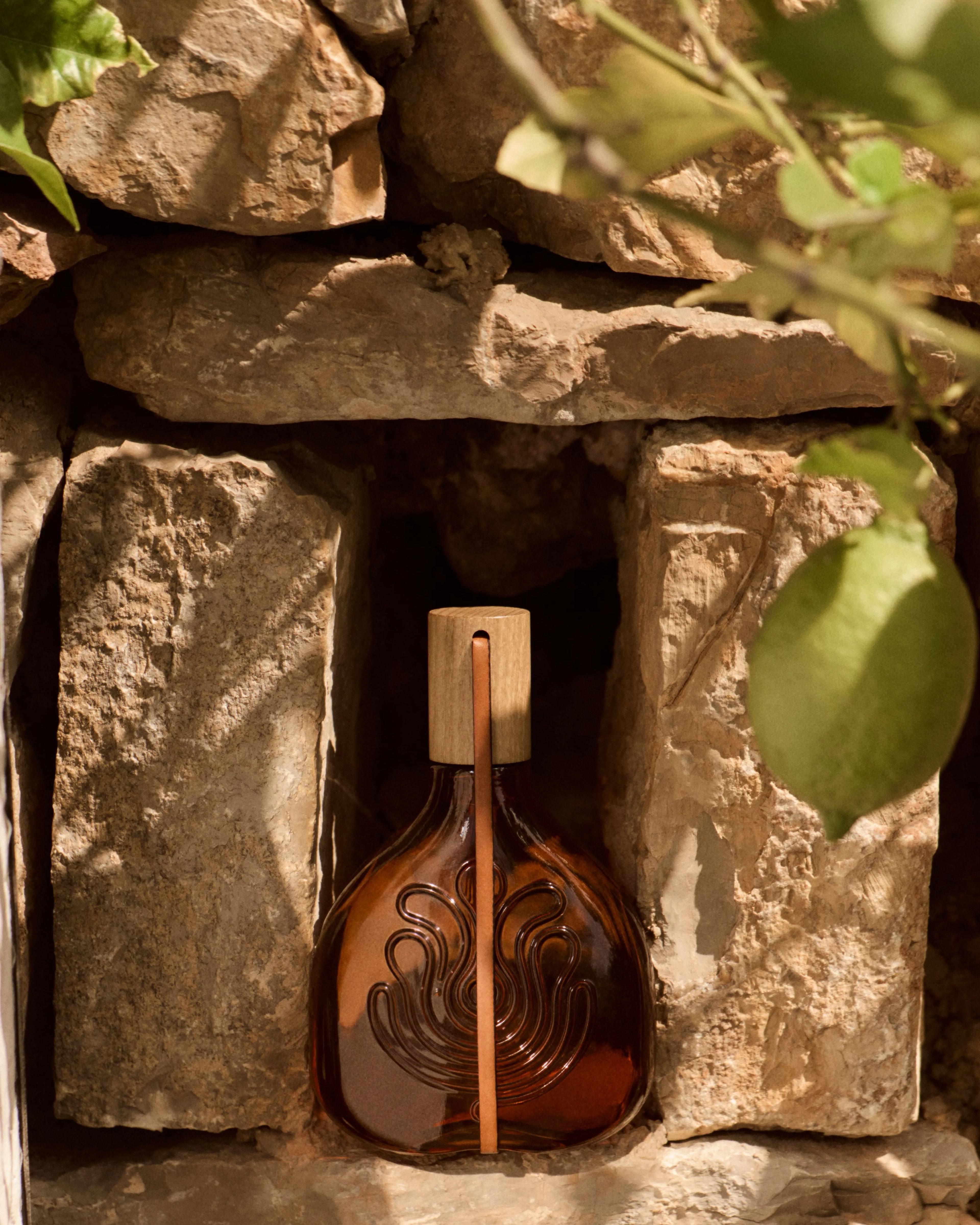 Canon-0052 (1) (1).webp