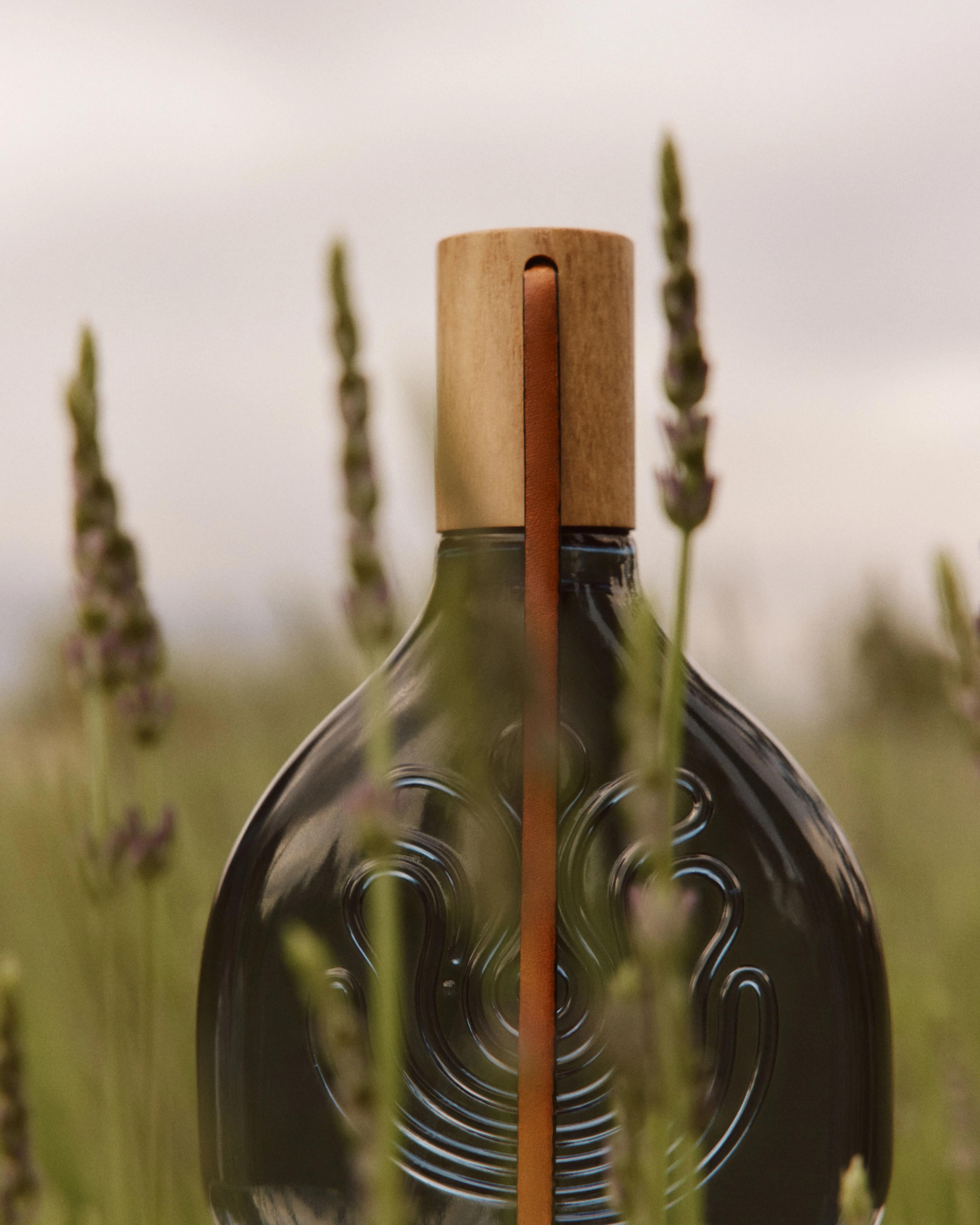 Picture_10_04_1681 (1).webp